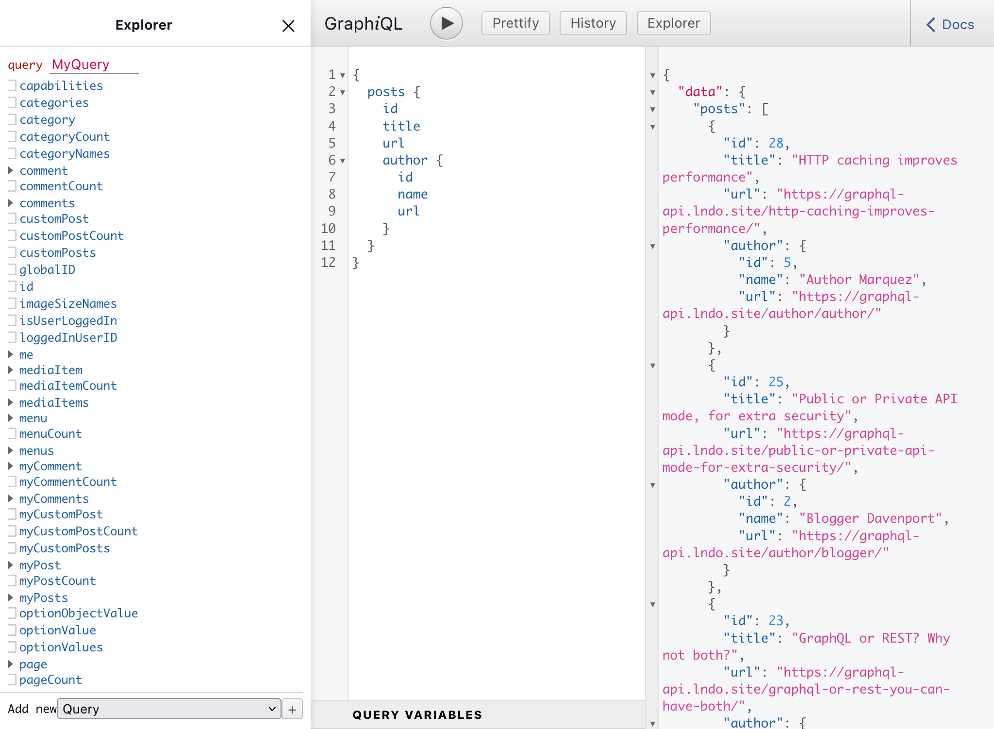 Custom endpoint's GraphiQL client Custom endpoint's GraphiQL client